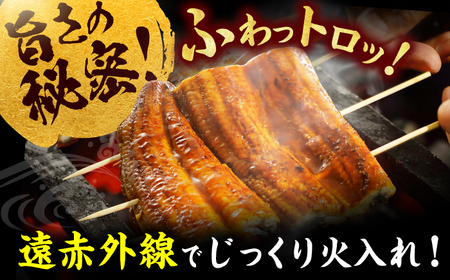 【3回定期便】刻み鰻個食パック 計1kg（100g×10P） / うなぎ 鰻 ウナギ きざみウナギ 刻み鰻 うなぎ ウナギ 鰻[AFBS002] うなぎ ウナギ うなぎ 鰻