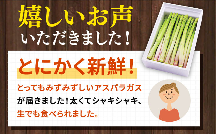 【先行予約】壱岐産　アスパラガス 2kg（L~2Lサイズ）　【2025年3月以降順次発送】《壱岐市》【壱岐市農業協同組合】 [JBO148]