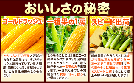 朝採りとうもろこし スーパースィート 「ゴールドラッシュ」 訳あり ご家庭用 12本 嶋崎農園 《8月上旬-８月末頃出荷》