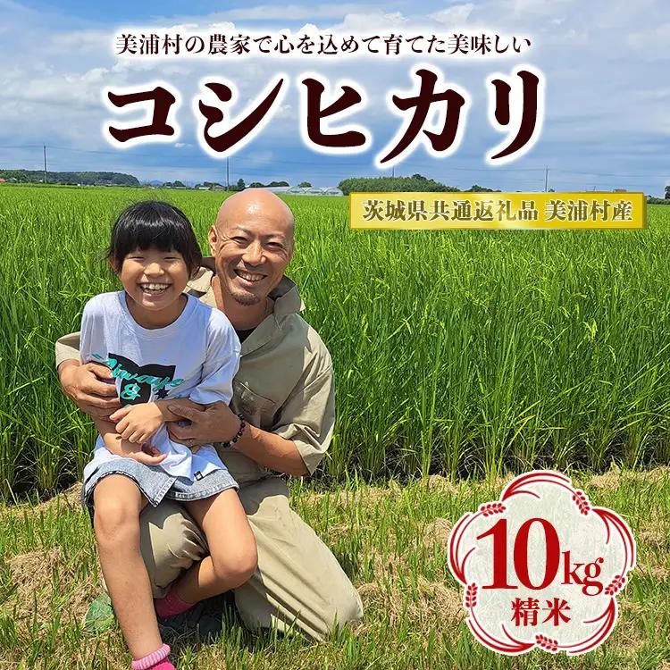 【令和8年産】コシヒカリ 精米 10kg【茨城県共通返礼品　美浦村産】 ※2026年10月～発送