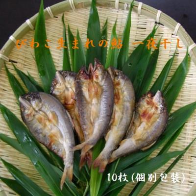 ふるさと納税 長浜市 びわこ生まれの鮎　一夜干し　10枚(個別真空パック包装)無添加　背骨なし