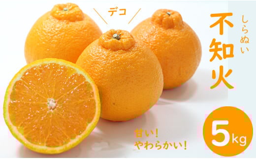 【先行予約】ご家庭用 不知火（しらぬい）５kg R8年4月より発送 頭のデコが ぽん とした サクサクの甘い食感 みかん 柑橘