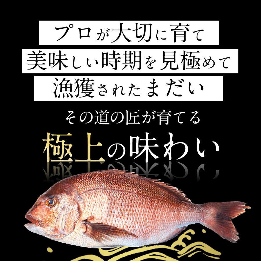 宮崎産 新海屋 鰤屋金太郎 みやざき極上まだい 丸ごと１尾 約2kg　N018-ZA645