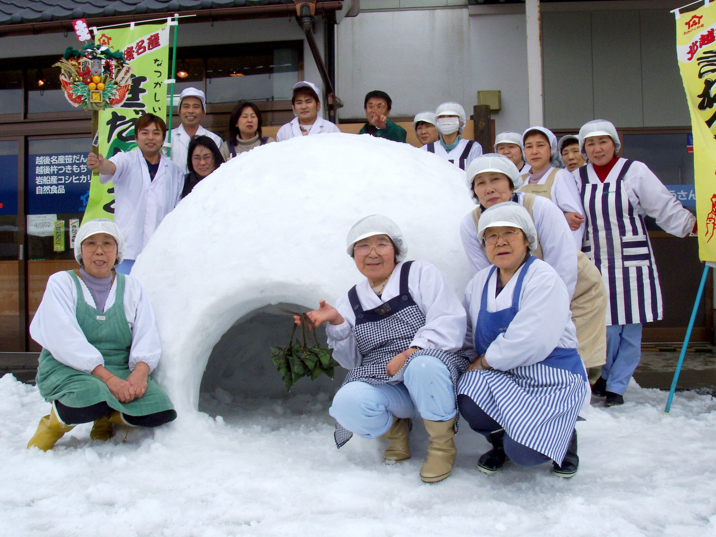 自然豊かな風土が育んだ新潟県岩船産コシヒカリ50kg （5kg×10ヶ月毎月お届け）