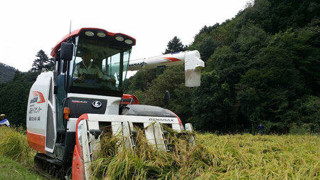 兵庫県播磨産「山陽ほまれ　ヒノヒカリ」10kg