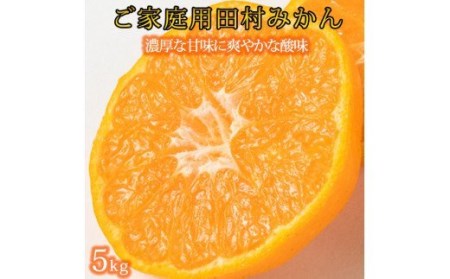 【ご家庭用訳あり】田村みかん　5kg ※2024年11月下旬頃～2025年1月下旬頃に順次発送【uot754】