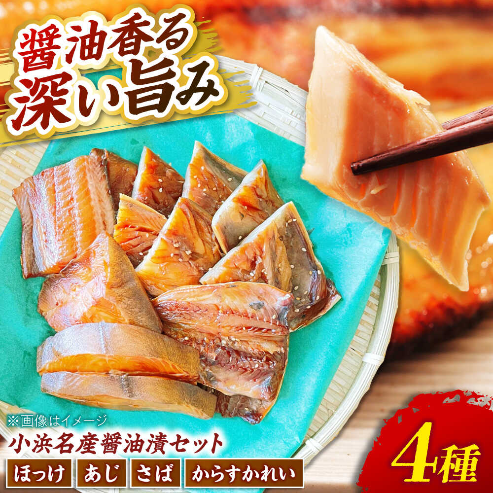 【ふるさと納税】竹下商店 小浜名産お魚醤油漬セット4種（冷凍）｜鯖 カレイ ホッケ 鯵 醤油漬け 加工品 焼くだけ 簡単 送料無料 [A-092002] 【配送不可地域：北海道・沖縄・離島】 [BFCO007]