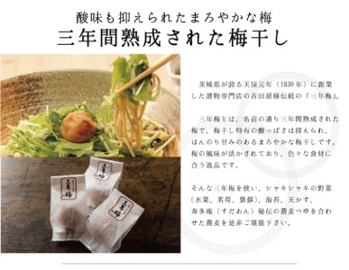 常陸秋そば 手打ち 梅冷やしそば 生蕎麦 4人前_AI080