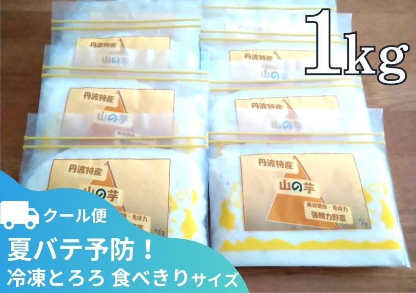 【芋家なか吉】丹波山の芋すりおろし 冷凍 とろろ１kg (10パック) ［ 京都 芋 いも イモ 便利 小分け 新鮮 人気 おすすめ お取り寄せ 通販 ふるさと納税 ］ 261009_B-SG06