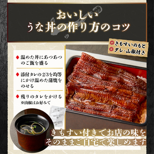 a48-010　鰻蒲焼真空パック〈5人前〉（1人前 115ｇ～125ｇ）