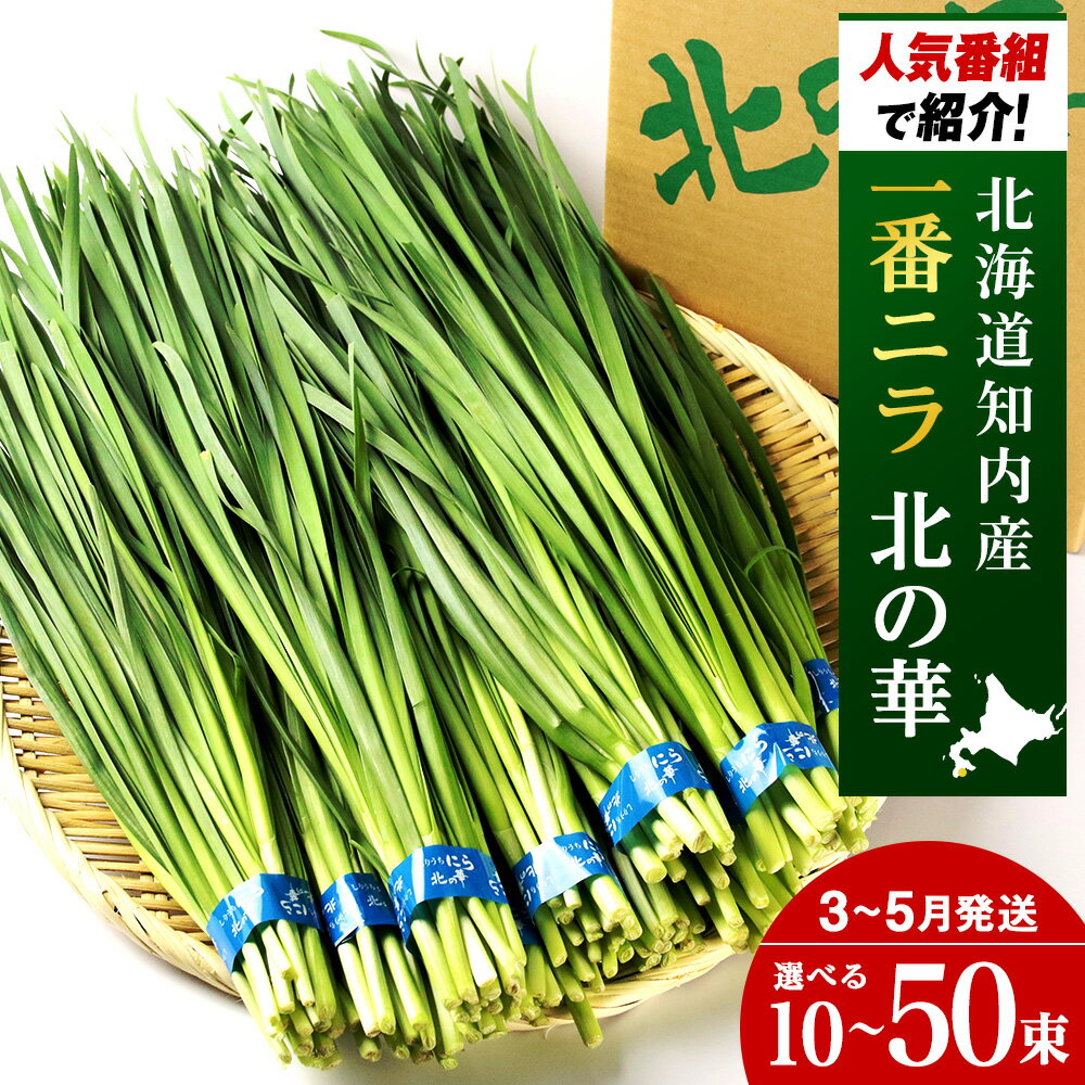 【ふるさと納税】【2025年発送予約】知内産 1番ニラ！！「北の華」選べる10束〜50束【JA新はこだて】ニラ 野菜 にら 北海道産 北の華 知内町 ふるさと納税