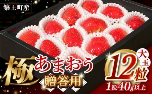 【贈答用】 築上町産 あまおう <極> 12粒【1月中旬以降順次発送】《築上町》【エースいちご株式会社】 大粒 あまおう 苺 いちご 大玉 贈り物 プレゼント フルーツ ギフト ボックス [ABAG006] 20000円