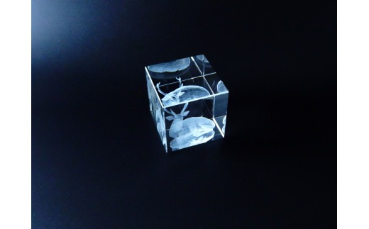 F-74 3D レーザー加工のクリスタルガラス1個 有限会社高山商会 奈良市