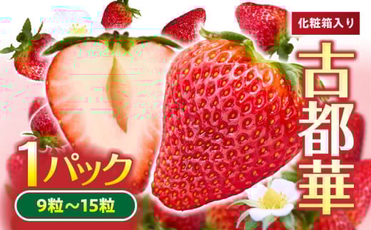 「古都華」化粧箱入りいちご 甘みと酸味のバランスが抜群 古都華 いちご 1パック 9~15粒 化粧箱 生駒いちご園 果物 フルーツ デザート 贈り物 お取り寄せ お取り寄せフルーツ 奈良県 生駒市 送料無料
