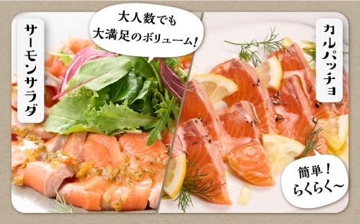ギンサケサーモン【1.6kg】 小分け 下処理不要 絶品の「塩締め」レシピ ふるさと納税 海鮮 サーモン 鮭 魚 銀鮭 刺身 生食用 さけ サケ ふるさと ランキング 人気 魚介類 魚介 北海道 白糠町_T023-1907-2610