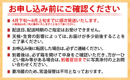 特大5Lサイズ 数量限定 日南市産 完熟マンゴー 2玉 化粧箱入り 期間限定 フルーツ 果物 くだもの 国産 食品 デザート おすすめ 2025年 ご褒美 贅沢 産地直送 特大 希少 お祝 お土産 プ