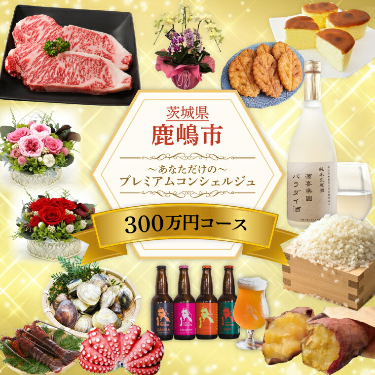 【ふるさと納税】あなただけの～プレミアム コンシェルジュコース(300万円)（ZY-10）