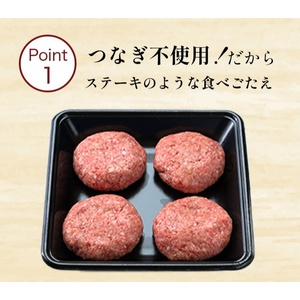 【4回 定期便 ／3ヵ月ごとにお届け】 海賊ステーキハンバーグ 200g×20個 ハンバーグ ソース付き 信州牛100% 長野 信州 小諸 繋ぎなし 冷凍 個包装