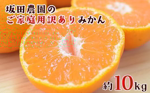 
            ご家庭用訳あり 『坂田農園』のご家庭用みかん 大容量 約10kg(2S-2Lサイズ)【日付指定不可】《10月上旬-1月末頃出荷》熊本県玉東町産限定 予約受付中 フルーツ 秋 旬 玉東町70年のベテラン！濃厚な食味とジューシーな果汁 熊本県玉東町 
          