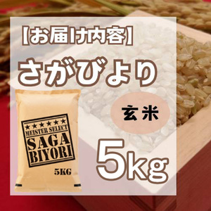 CI780_【玄米】さがびより５㎏ 【五つ星お米マイスター厳選！】 