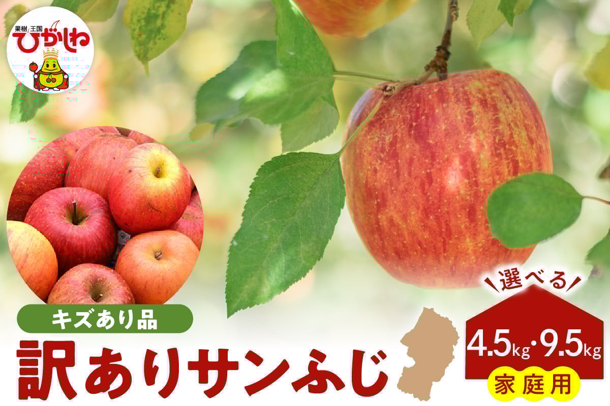
            【令和7年産 先行予約】※訳あり※ サンふじ満杯詰【約4.5kg、約9.5kg】東根市 山形県 東根農産センター提供 hi027-204-1-o
          