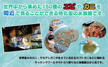 ＼たくさんの生物と触れ合える♪／　エビとカニの水族館 ３名様チケット【ebk002】　