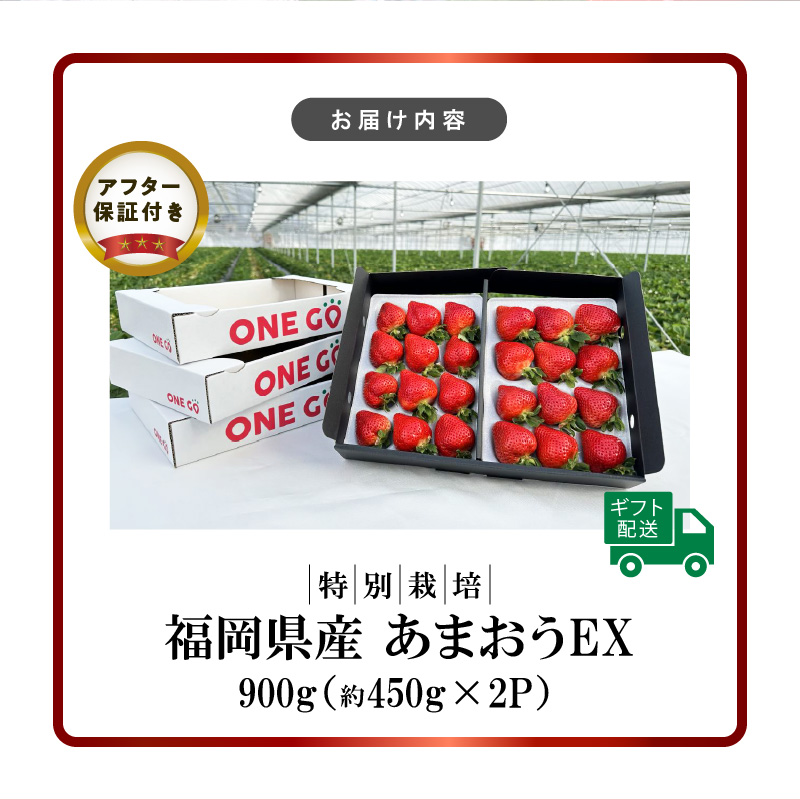 【2027年1月より順次発送】ギフト配送 約450g×2パック EX 福岡県産あまおう〈特別栽培〉_福岡県産 あまおう 約450g×2パック エコファーマー 土づくり 化学合成農薬 化学肥料 低減 特