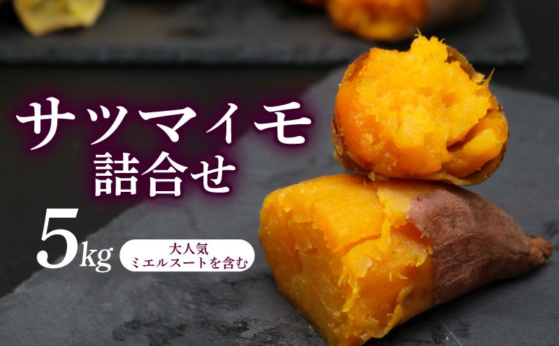 
                  【先行予約】(2026年10月末～発送予定) サツマイモ 詰め合わせ 5キロ ミエルスイート ＋1種類以上  安納黄金 紅はるか 土佐紅  焼き芋 焼いも 焼芋 やきいも 野菜 やさい 食品 人気 おすすめ  高知県 南国市
                