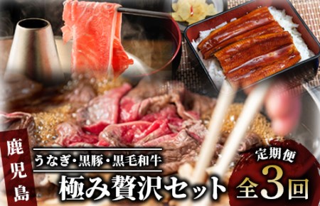 【全３回定期便】うなぎ・黒豚・黒毛和牛 鹿児島極み贅沢セット いつからでも定期便(水迫畜産/Z034-533) 国産 鰻 指宿市 蒲焼 牛肉 豚肉 肉 黒豚