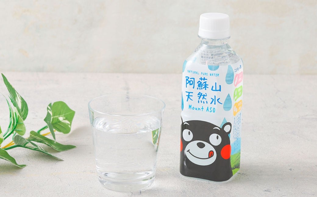 熊本のおいしいお水 阿蘇山天然水 330ml×48本（2ケース）