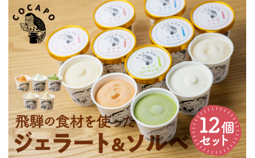 飛騨のジェラート ソルベ 12個入り 詰め合わせ 野菜 スイーツ ヘルシー アイス アイスクリーム ギフト プレゼント 誕生日祝い 国産野菜 カカポ