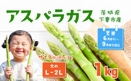 アスパラガス 1kg L～2Lサイズ 朝採り アスパラガス 夏芽 【先行受付】 【26年6月中旬～9月発送】