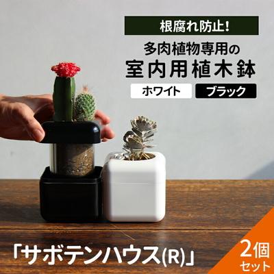 ふるさと納税 古河市 【2個セット ブラック・ホワイト】多肉植物専用の室内用植木鉢「サボテンハウス(R)」 _GD03