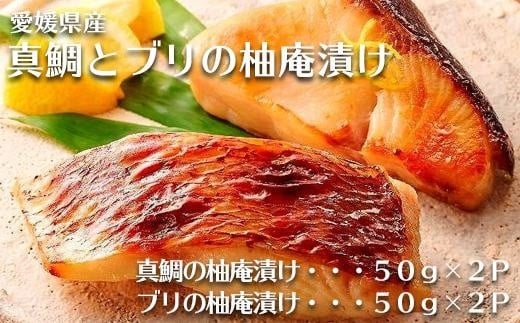 愛媛県産真鯛とブリの柚庵漬け　各２パック | 海鮮 魚介 鯛 ブリ 簡単調理のお惣菜 惣菜 ご飯のお供 酒の肴 愛媛県 松山市