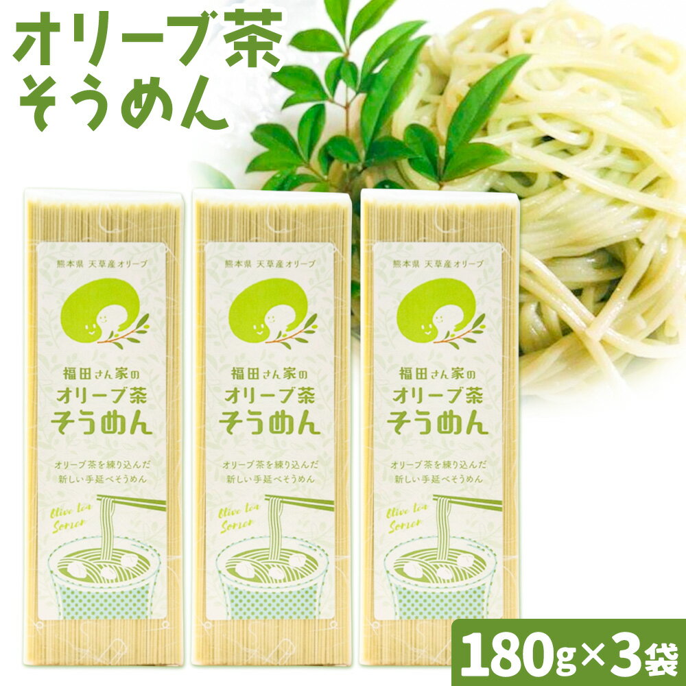 【ふるさと納税】オリーブ 茶 そうめん 3袋 セット 福田さん家のオリーブ園。《90日以内に出荷予定(土日祝除く)》手延べ 麺 農薬 不使用 乳酸菌 天草 苓北 熊本 送料無料