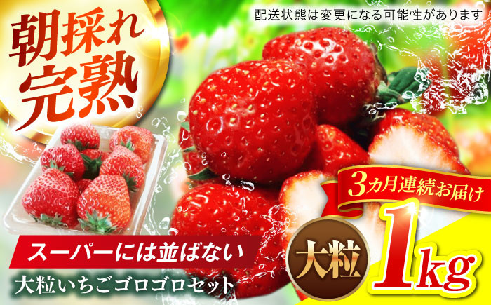 
            【3回定期便】 いちご 大粒 完熟 苺 おいしい 美味しい イチゴ ストロベリー 果物 フルーツ 旬 甘い ジューシー デザート かおり野 ほしうらら スターナイト 恋みのり 紅ほっぺ おいCベリー ベリーポップすず 特大 希少 ご褒美 高級 贅沢 定期便 農家直送 ギフト プレゼント 贈り物 贈答 おすすめ 人気 パフェ ケーキ ジャム 岐阜市 / セイントベリー [ANFX004]
          