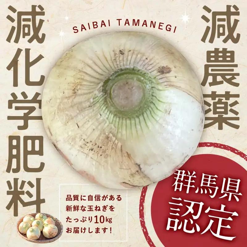 ＜2027年度先行予約＞甘すぎる新鮮玉ねぎ 10kg（2027年5月中旬～6月上旬頃出荷） 減農薬減 化学肥料 生食 たまねぎ 玉ねぎ タマネギ 野菜 食品 F20E-681