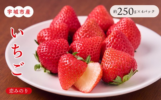 
            【2月発送】 先行予約 宇城市産 いちご「恋みのり」約250g×4パック 2026年2月上旬発送予定 【わたなべいちご園】
          