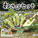 【ふるさと納税】とれたて わさび セット 滝 生産者直送 生わさび 2本 手作り わさび漬け 天城の春 三杯酢漬け わさびみそ むらさき漬 醤油漬け 伊豆 ワサビ 茎 加工品 加工食品 薬味 詰め合わせ 静岡 【夏ギフト特集】調味料　【 河津町 】