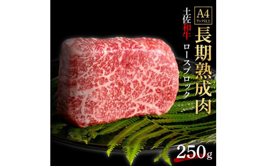 
エイジング工法　熟成肉　土佐和牛　特選ロース　ブロック　約250g（冷凍）
