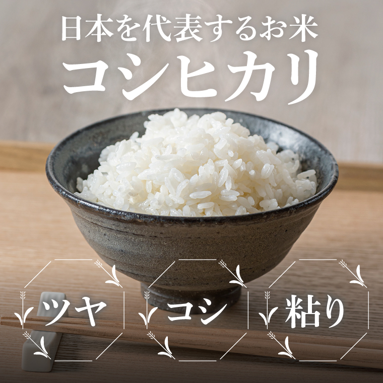 【2ヶ月定期便】令和7年産 茨城県産コシヒカリ　精米　10kg（5kg×2）｜ お米 米 ごはん 阿見町 茨城県 茨城県産 茨城県産米（85-18）