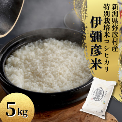 令和7年産 特別栽培米コシヒカリ「伊彌彦米」5kg×1袋 新潟県産 精米 弥彦村産【1106253】