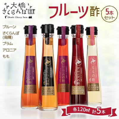 ふるさと納税 芦別市 フルーツ酢5本セット　さくらんぼ(南陽)・プラム・プルーン・桃・アロニア