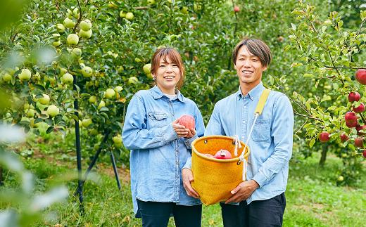 果汁100% 「無駄にしない思いから作られた りんごジュース