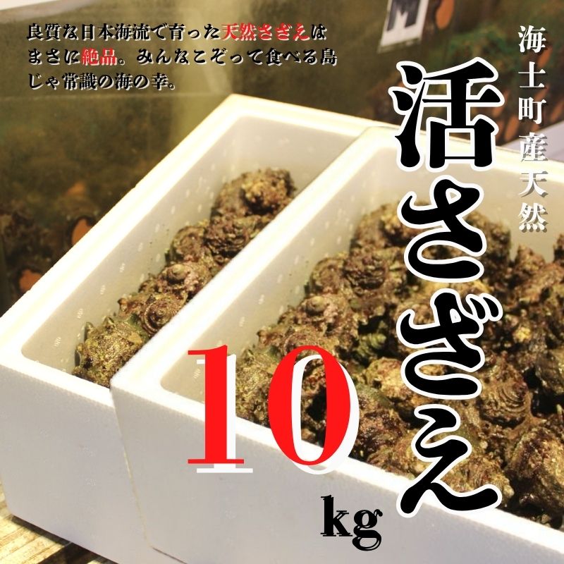 【ふるさと納税】【7月下旬以降順次発送】【島獲れ活さざえ10kgセット】日本海の離島の新鮮なさざえをお届けします! 冷蔵便 サザエ さざえ 栄螺 貝 海鮮 さざえご飯 壺焼き 刺身 夏 BBQ バーベキュー ギフト 今が旬　お中元 御中元