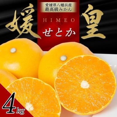 
                  最高級みかん 媛皇 せとか 4kg 愛媛県 八幡浜市 西宇和地区 柑橘の女王＜F25-295＞【1712701】
                