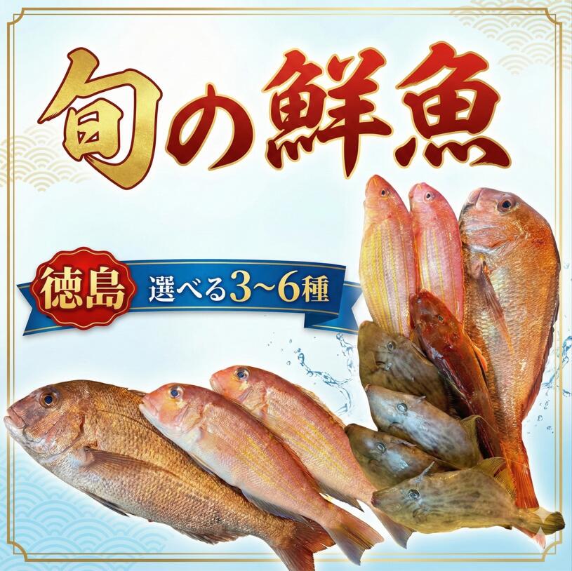 【ふるさと納税】 旬の鮮魚セット 選べる 2kg以上 3から6種 おまかせ 鮮魚ボックス 詰め合わせ 刺身 刺し身 海鮮 アジ カツオ ヒラメ 鯛 新鮮 下処理済み 冷蔵 父の日 徳島 馬地鮮魚