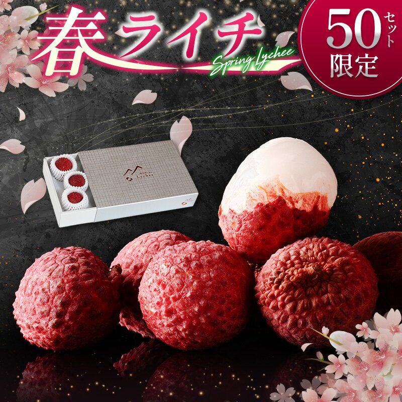 【ふるさと納税】［50セット限定］旬を先取り！4月出荷の春ライチ「モリノライチ」数量限定 ※4月20日～4月28日 期間内出荷 国産 ブランド フルーツ 果物 贈答品