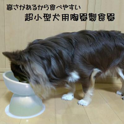 ふるさと納税 奈良市 ペット用食器 超小型犬種用 陶器製食器 アイボリーホワイト 9-055 53620-5-CHOB1
