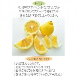 はるかみかん 6kg 訳あり みかん 和歌山県海南市より農園直送 2027年3月から4月中旬頃順次発送［Mg29］